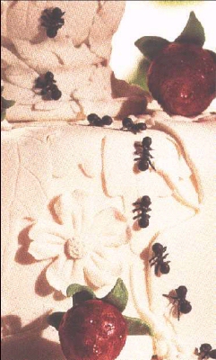 Detail of the picnic ants on springy cake