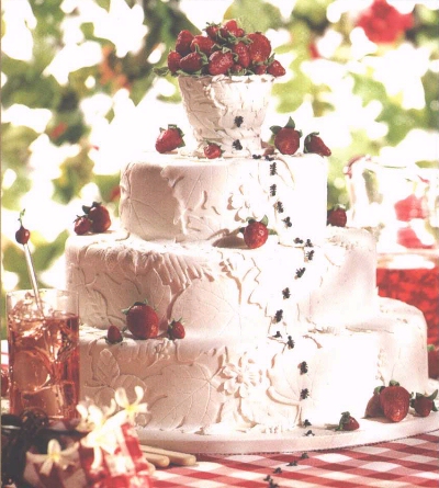Full view of a springy cake, with strawberries and picnic ants